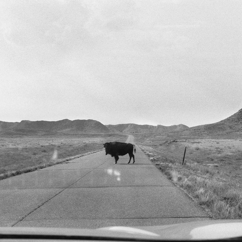 cover of single ep album Bada-Bada – 100 Fuites