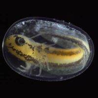 cover of single ep album (unconditional love)