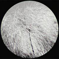 Bada-Bada – new clip ‘Roche’