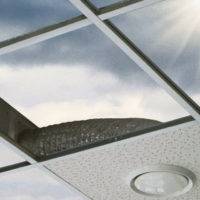 cover of single ep album action(s)