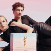 Lecomte de Brégeot – YSL