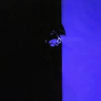 Yvnnis – live at l’Olympia